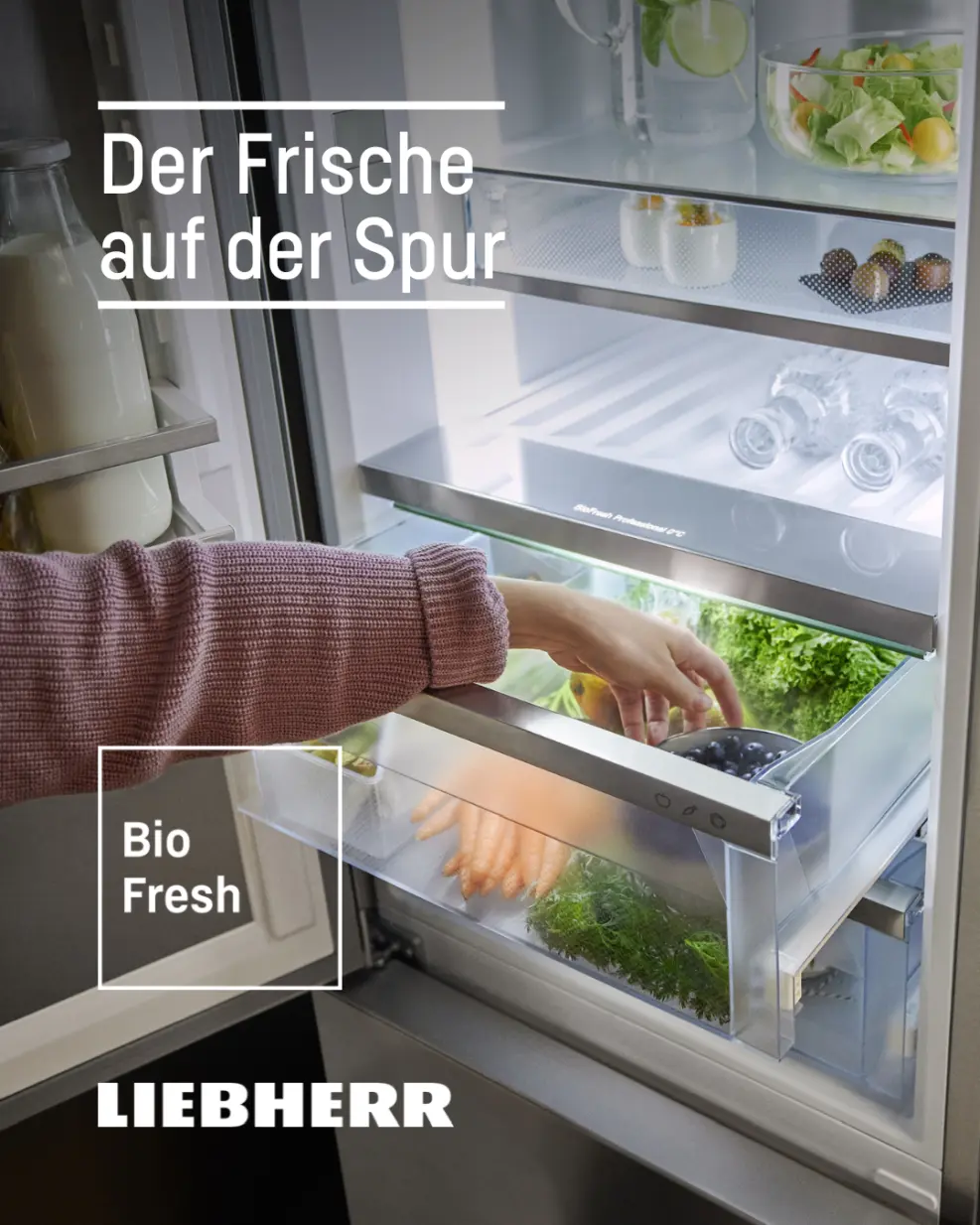 Liebherr Augburg